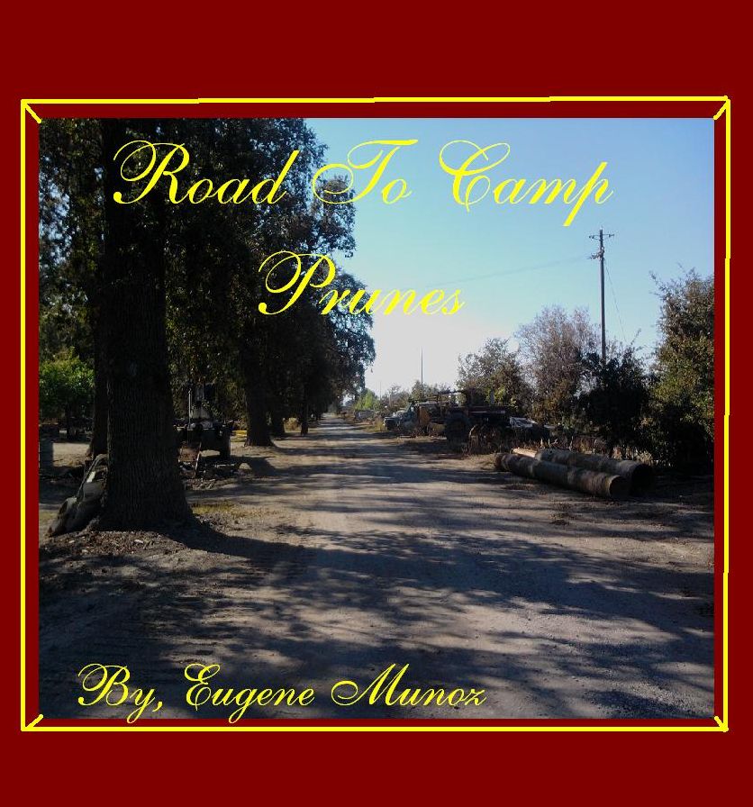 The Mystery At Camp Prunes