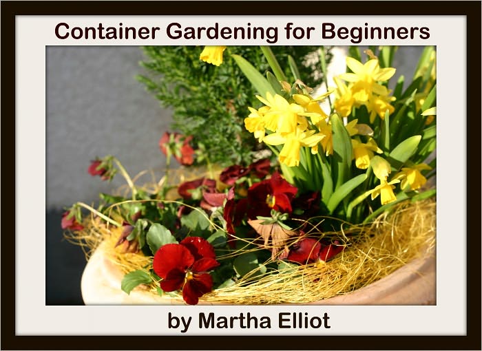 Container Gardening for Beginners