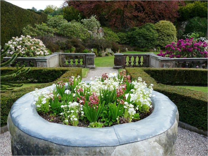 Raised Bed Gardening for Beginners