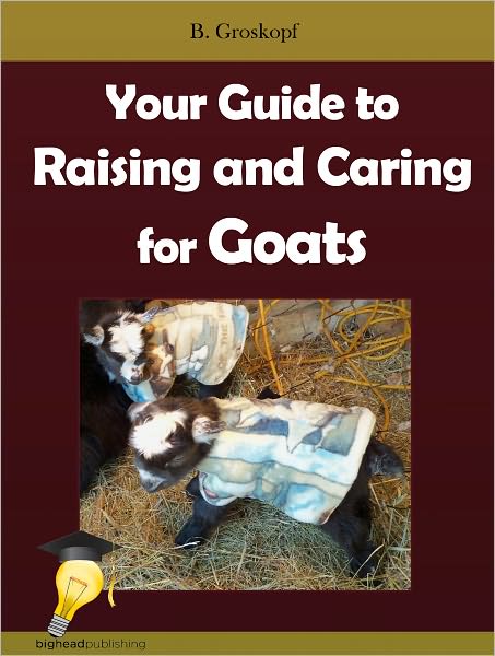 Your Guide to Raising and Caring for Goats