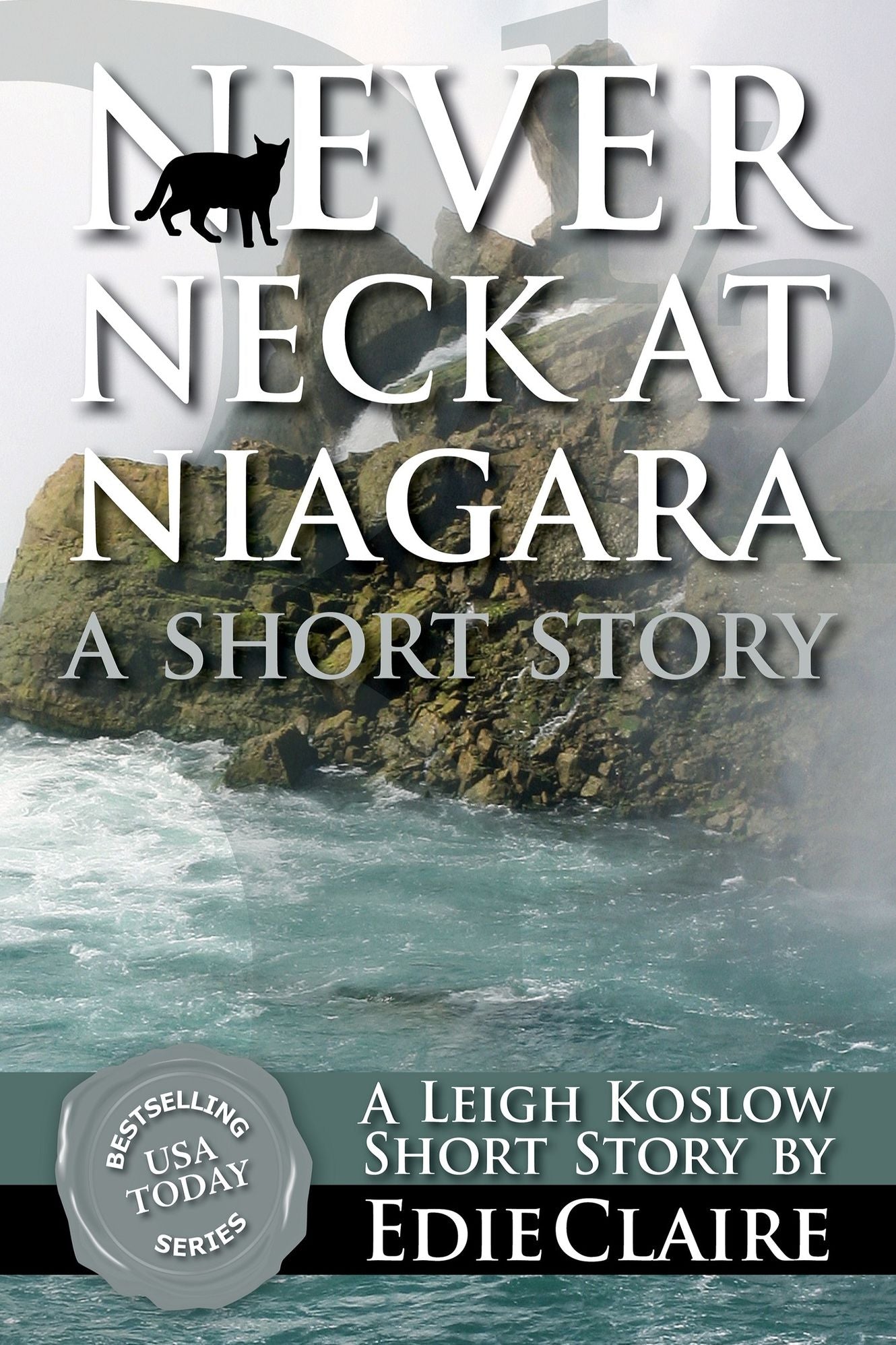 Never Neck at Niagara (A Leigh Koslow Short Story)