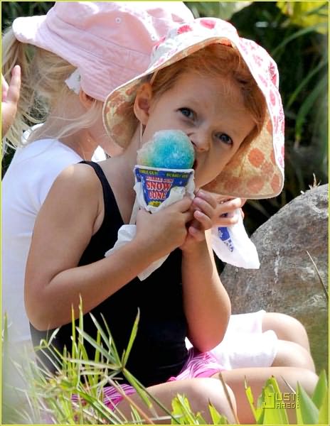 Saved Ice Snow Cone Service Start Up Sample Businss Plan!