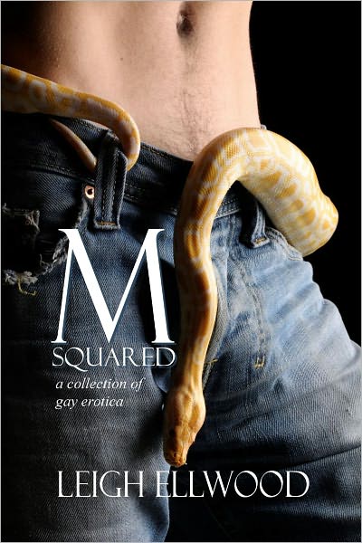 M-Squared: a Collection of Gay Erotica