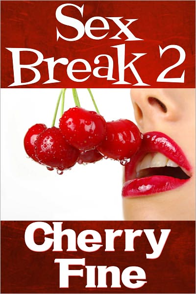 Sex Break 2 (Erotica/Erotic Romance)