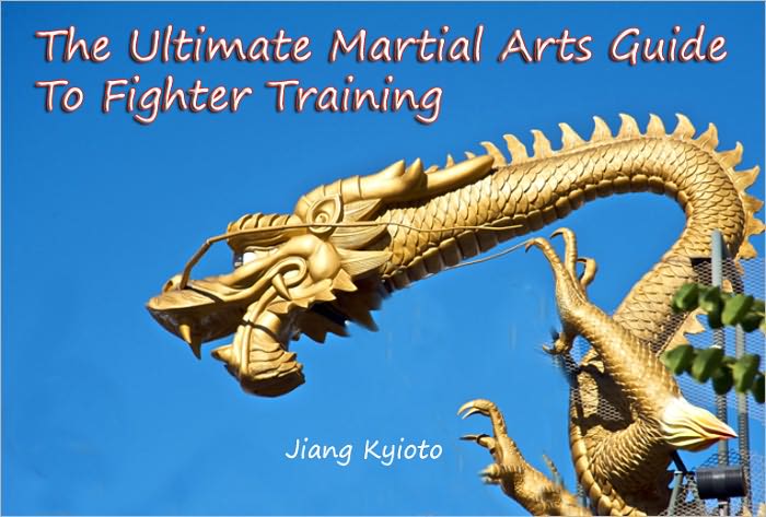 The Ultimate Martial Arts Guide To Fighter Training
