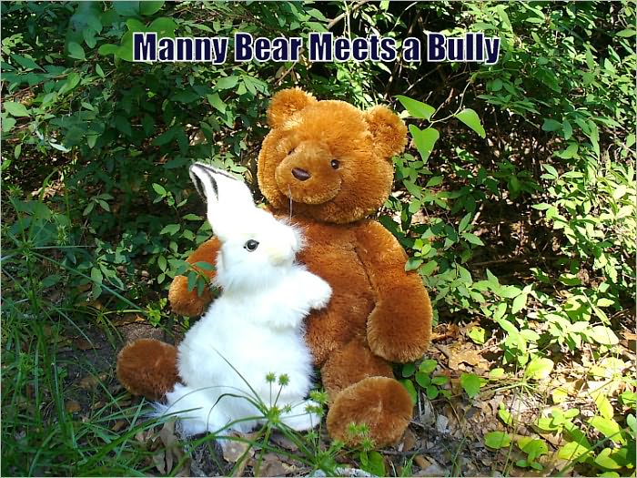 MANNY BEAR MEETS A BULLY--(5 Forever Friends)