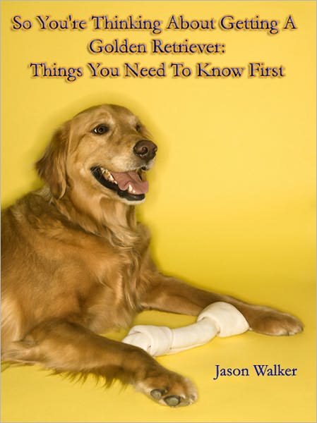 So You're Thinking About Getting A Golden Retriever: Things You Need To Know First