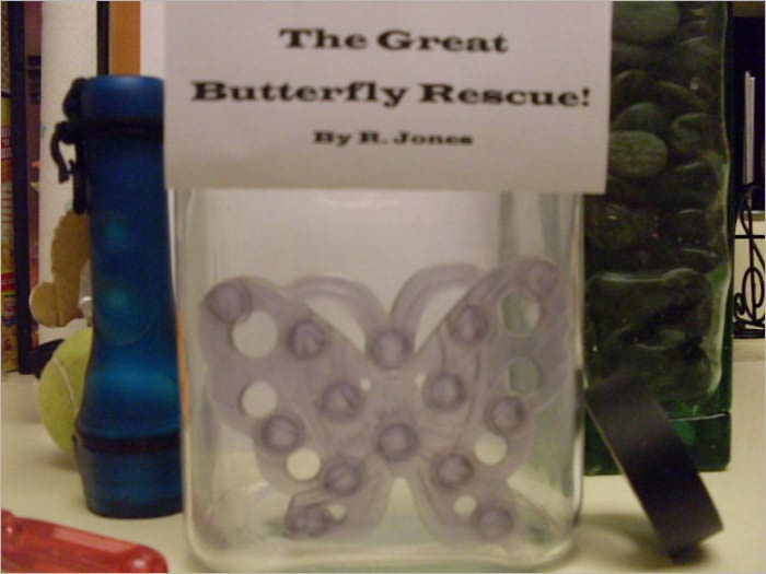 The Great Butterfly Rescue