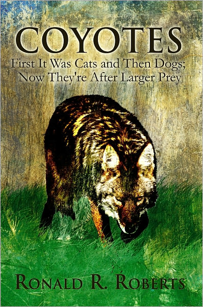 Coyotes: First It Was Cats and Then Dogs; Now They're After Larger Prey