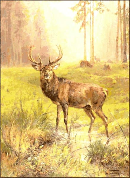 Over 100 Delicious Venison Recipes