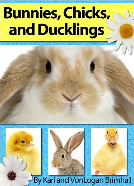 Bunnies, Chicks and Ducklings