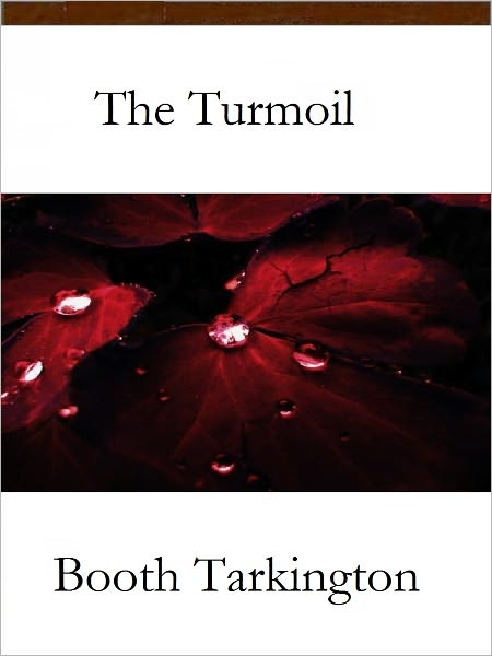 The Turmoil