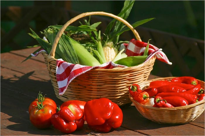 Embarking on a Vegan Lifestyle