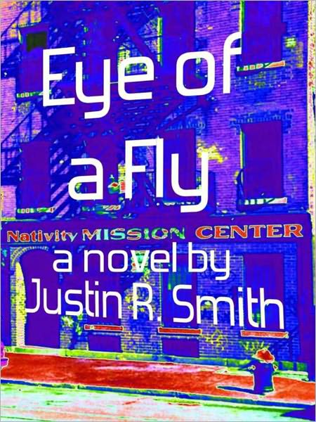 Eye of a Fly