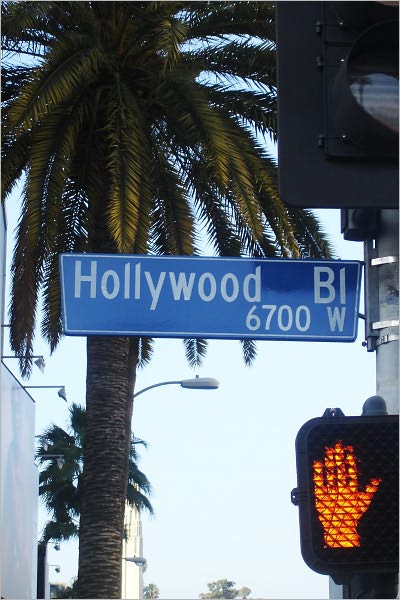 Famous Hollywood Diets