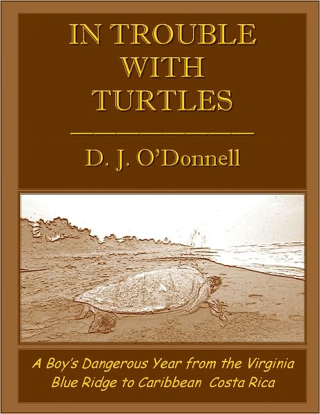 In Trouble with Turtles