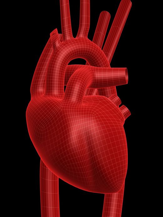 HEART LIKE CEMENT