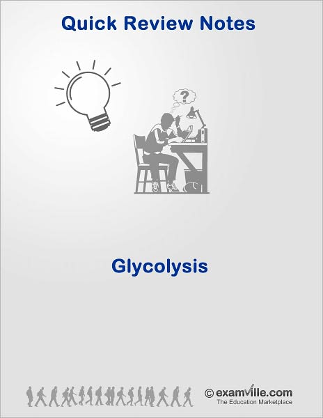Glycolysis - Biochemistry Quick Review Notes