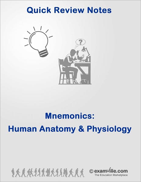 Ace Your Exams - Human Anatomy & Physiology Mnemonics