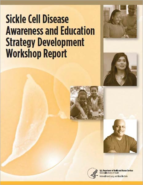 Sickle Cell Disease Awareness and Education Strategy Development Workshop Report