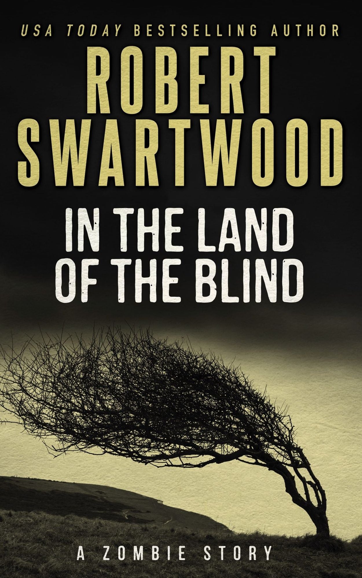 In the Land of the Blind: A Zombie Story