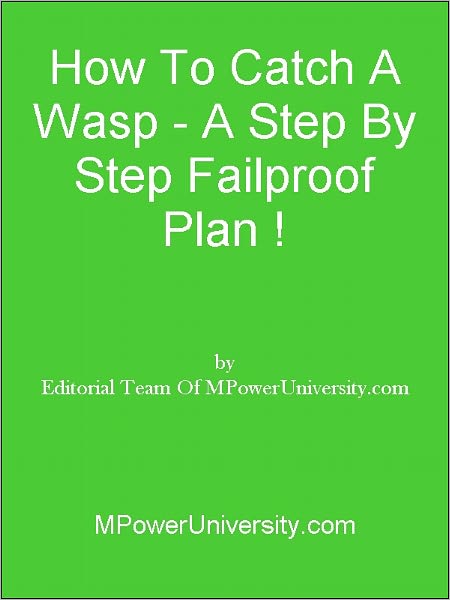 How To Catch A Wasp A Step By Step Failproof Plan !