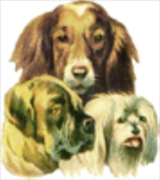 Dog Bone Recipes