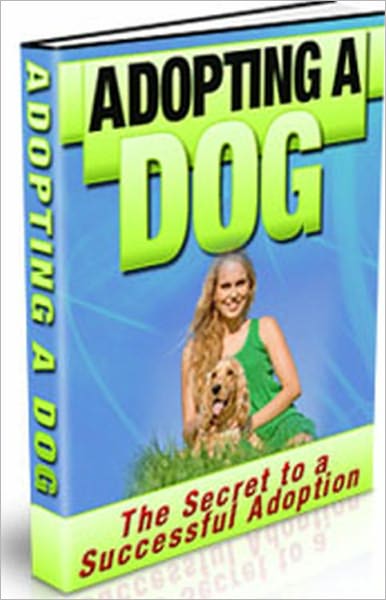 Adopting A Dog