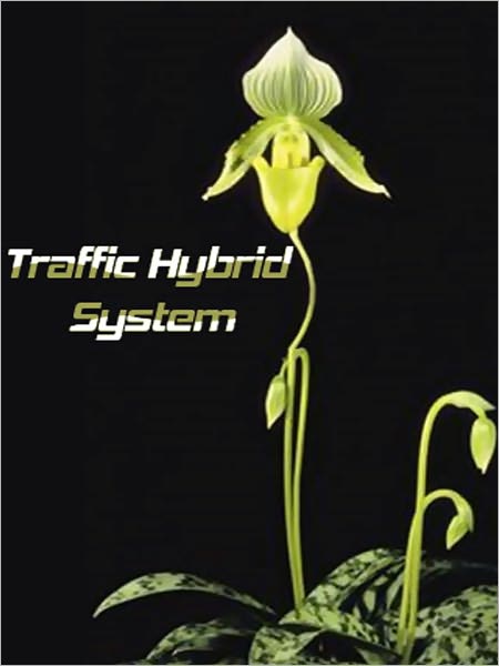 Traffic Hybrid System