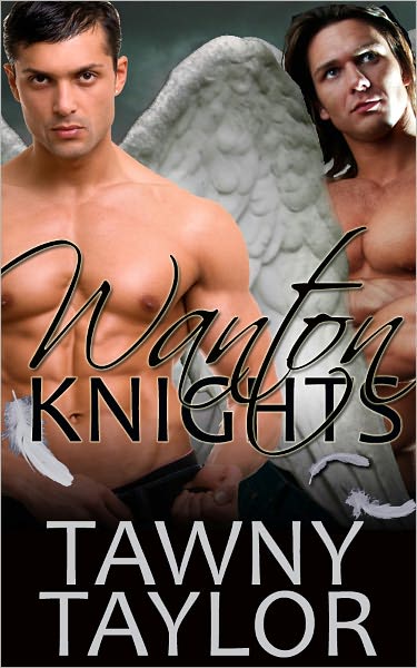 Wanton Knights (erotica menage)