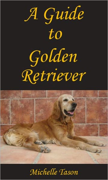 A Guide To Golden Retriever