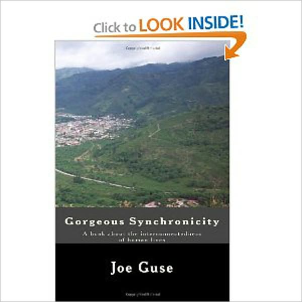 Gorgeous Synchronicity: A book about the interconnectedness of human lives