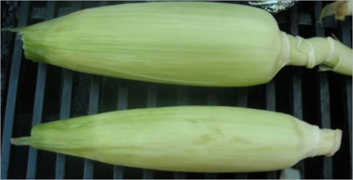 How to Grill Corn on the Cob