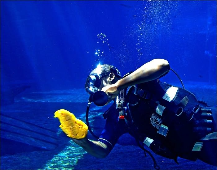 Scuba Diving For The Whole Family