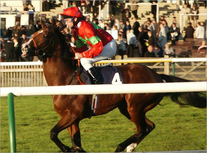 Online Horse Race Betting