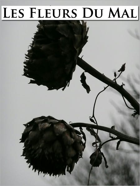 Les Fleurs Du Mal - (Formatted & Optimized for Nook)