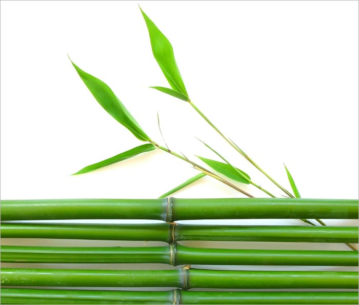 Feng Shui – Divine Arrangement