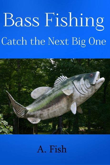 Bass Fishing: Catch The Next Big One