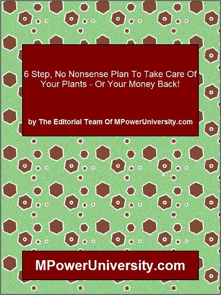 6 Step, No Nonsense Plan To Take Care Of Your Plants - Or Your Money Back!