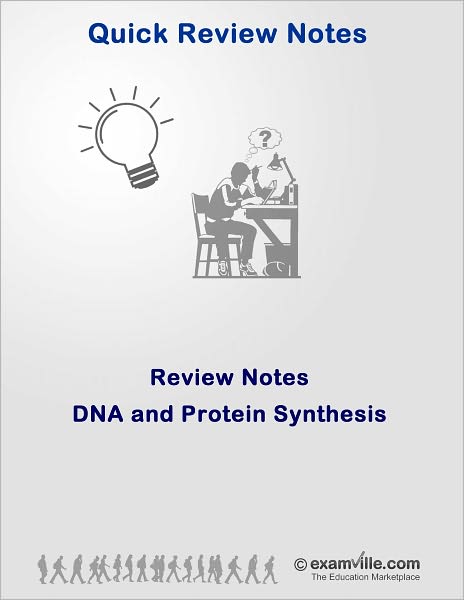 Quick Review: DNA and Protein Synthesis