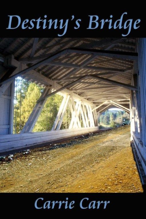 Destiny's Bridge: Book 1 in the Lex & Amanda Series