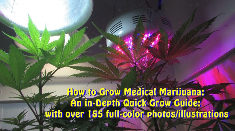 How to Grow Medical Marijuana: An in-Depth Quick Grow Guide: with over 155 full-color photos/illustrations