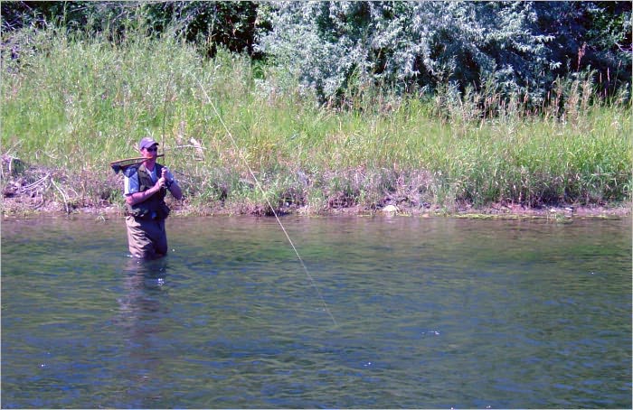 Fly Fishing - Part 2: The Fish, the Flies & the Spots