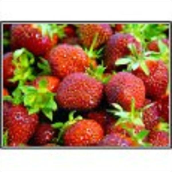 Super Food Health - Eating For Better Health