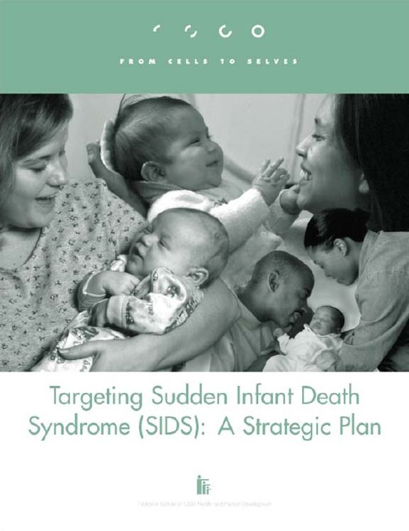 Targeting Sudden Infant Death Syndrome (SIDS) : A Strategic Plan