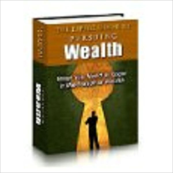 The Expert Guide to Pursuing Wealth