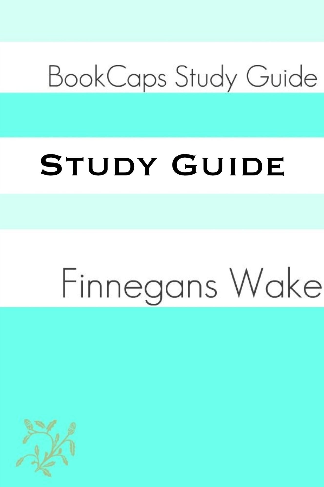 Finnegan’s Wake (A BookCaps Study Guide)