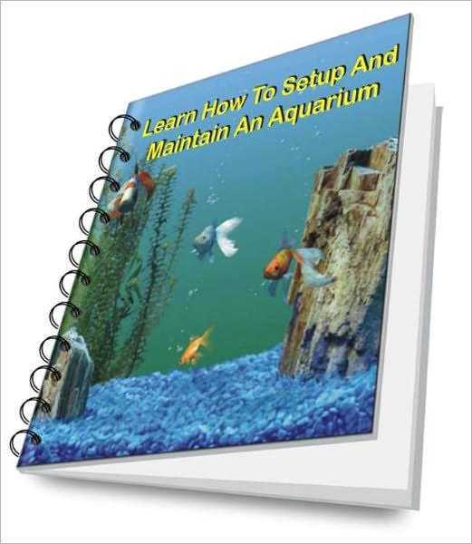 Learn How To Setup And Maintain An Aquarium