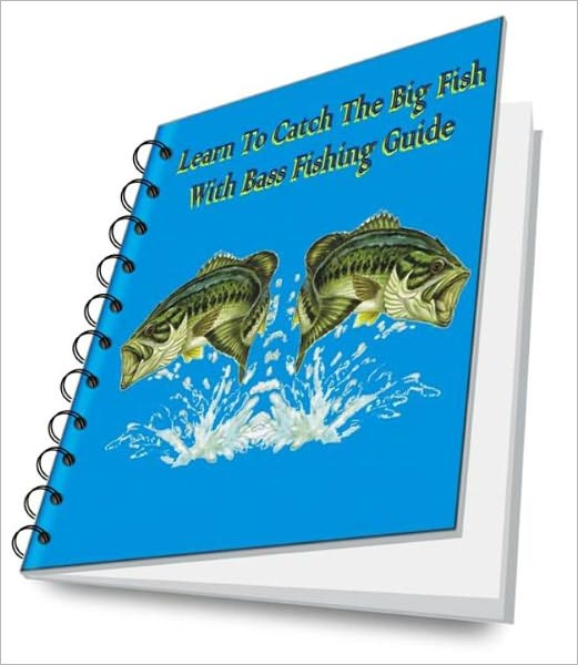 Learn To Catch The Big Fish With Bass Fishing Guide