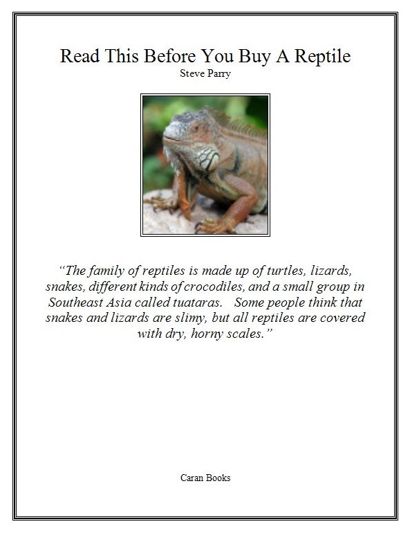 Read This Before You Buy A Reptile